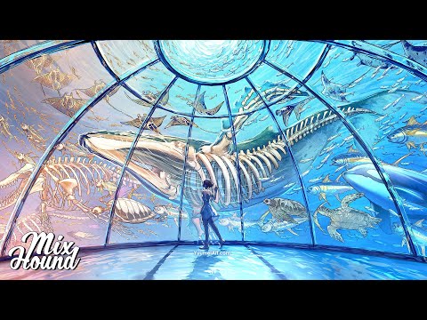 Chillstep | Nomyn & Veela - Caught in a Dream