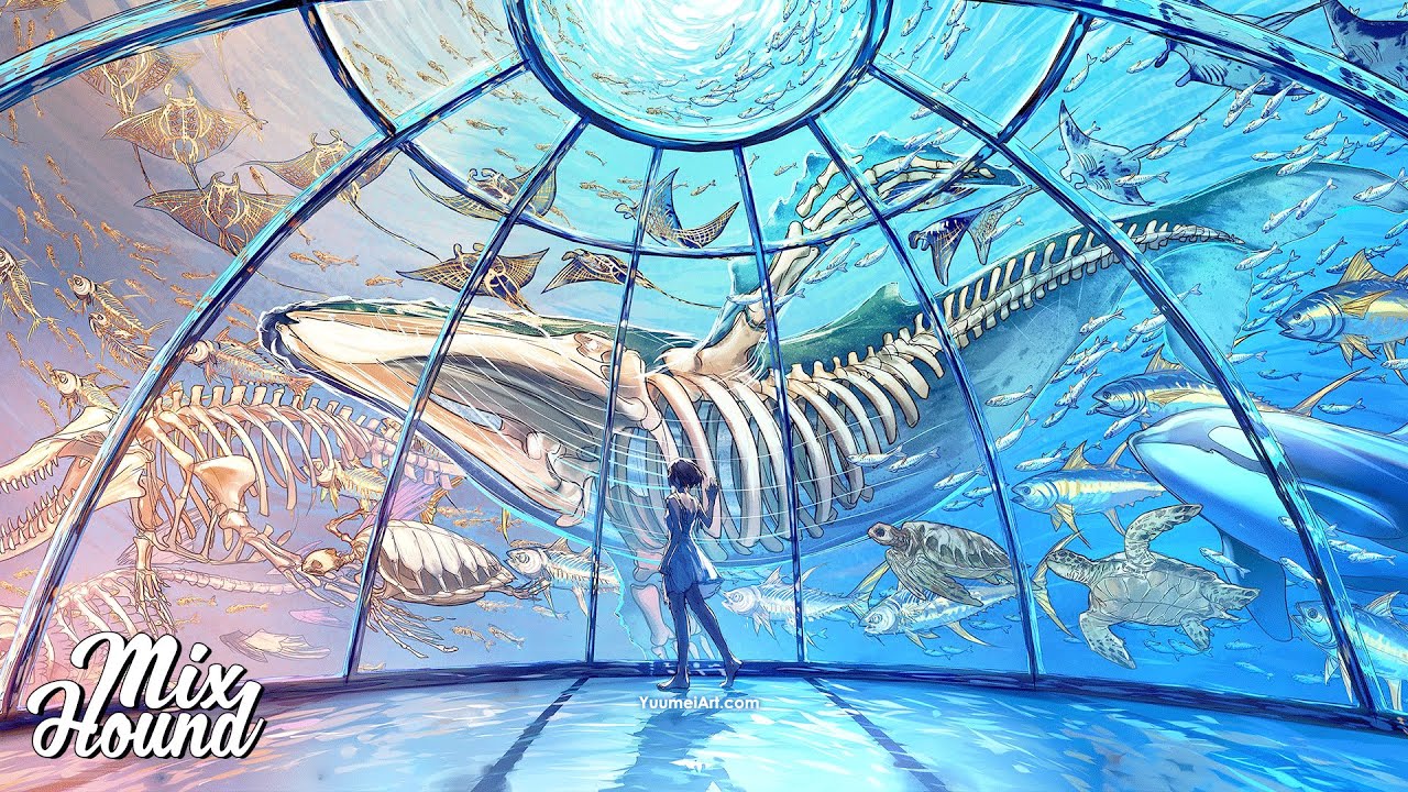 Chillstep | Nomyn & Veela - Caught in a Dream