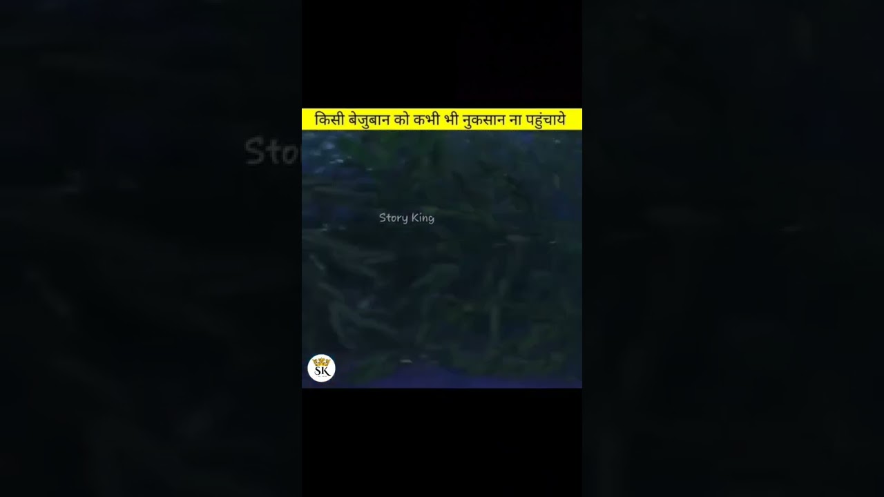 Cute Animal Story YouTube