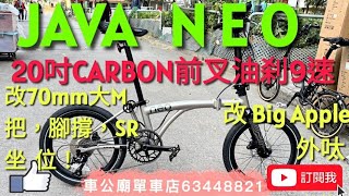 java #javaneo JAVA NEO-9S 406 (Titanium) 20-inch (CARBON fork