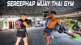 RAW Muay Thai Training In CHIANG MAI At SEREEPHAP MUAY THAI