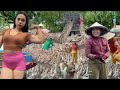 Full Video: Adorable Pink Ducks Loaded onto Trucks & Boats Rare & Colorful Farming in Vietnam