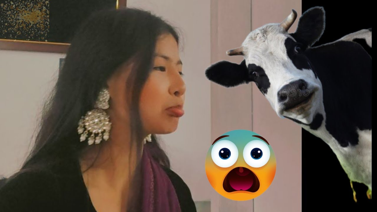 Cow ne maar diya...😰🤕❤️