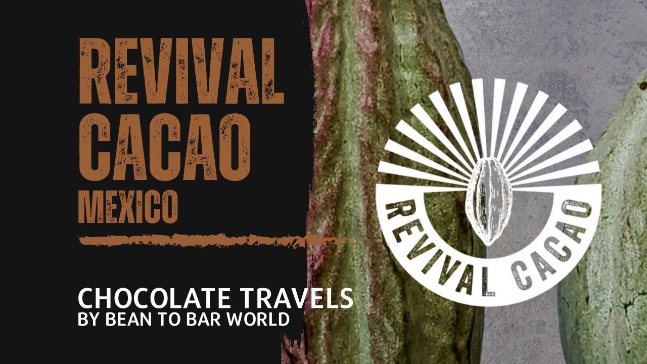 Interview with Alejandro from Revival Cacao Mexico