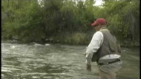 The Sidearm Cast—Utah Fly Guides