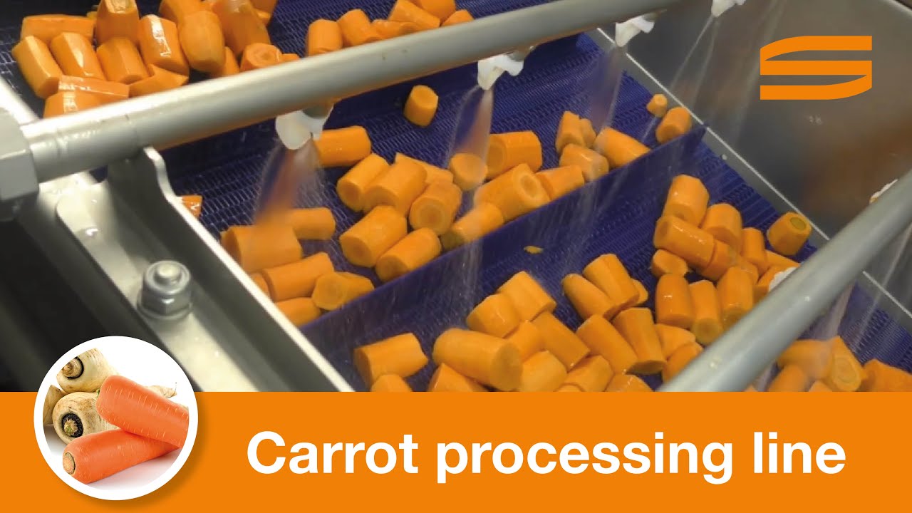 Carrot processing line Sormac YouTube