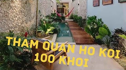 OVERVIEW OF KOI 100 BLOCK || QUAN QUAN HỒ KOI 100 KHỐI || SHIP KOI 45CM NHA TRANG