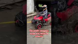 Рык мотора квадроцикл 125 кубов #квадрик