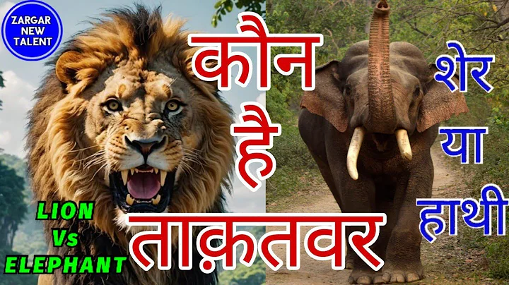 LION Vs Elephant शेर और हाथी में कौन है ज़्यादा ताकतवर ? एक रोचक जानकारी @zargarnewtalent