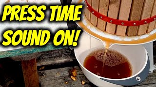 Cider Pressing ASMR: The Satisfying Sound of Fresh Juice Flowing