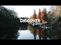 lofi.samurai - around.u