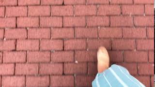 IMG 0712 2