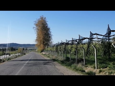 دويرة ممتعة من صفرو إلى افران المغرب ضيعات شاسعة للتفاح
