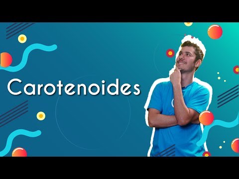 Vídeo: Carotenóides: Tudo O Que Você Precisa Saber