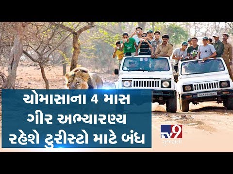 Gir National Park to remain shut for four months from today | Tv9GujaratiNews