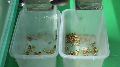 walnut kernel separate from shell color sorter machine