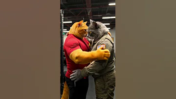 الاسد ضرب القط عشان ضعيف بس اتمرن ورجع جاب حقه Ai Cat Shorts 