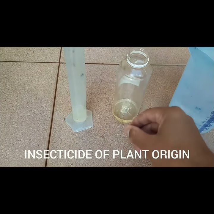 Plant oil formulation for insect control | Pestisida nabati