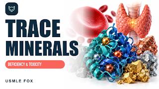 Trace Minerals: Deficiency & Toxicity | Iron, Zinc, Copper, Iodine | USMLE Step 1