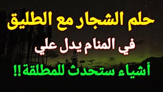 تفسير حلم رؤية الشجار مع الطليق في  المنام علي أشياء ستحدث للمطلقة!!