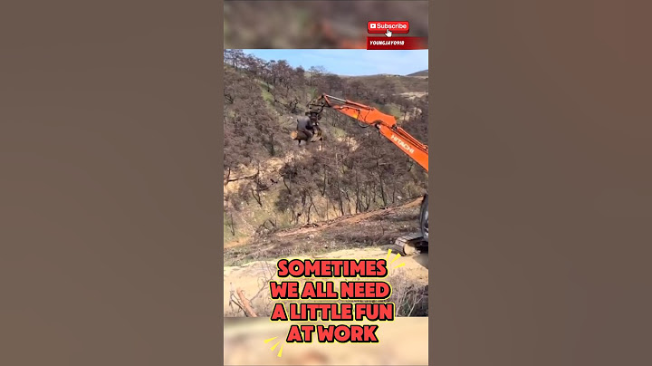 When Work Becomes a Carnival Ride 🚜🌲#funny #short