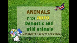 ✺ Fnimals, board game, test. ✺ Животные, игра лото, онлайн тест.✺ English for kids. Английский детям screenshot 5