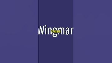 Remember This Wingman/Re-45 Hopup?