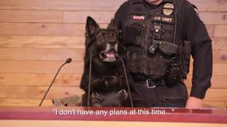 Olympia K9 Melnic announces his retirement