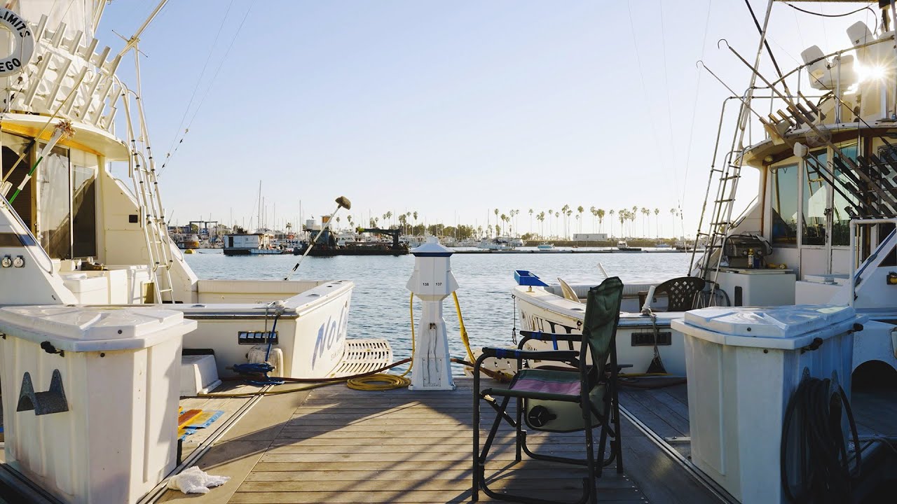 Marina Ambience 1 Hour of Relaxing Ocean Sounds for Ultimate Serenity