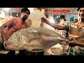 34Kg Incredible Giant Trevally Fish Cutting In Bangladesh Fish Market | Fish Cutting Live