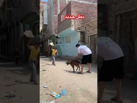 بطل جديد اسمه ريكو