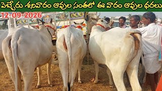 పెబ్బేరు శనివారం సంతలో ఈ వారం ఆవుల ధరలు | Pebbair cow market | Biggest cows in Pebbair market 