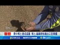 科技創新與經濟影響