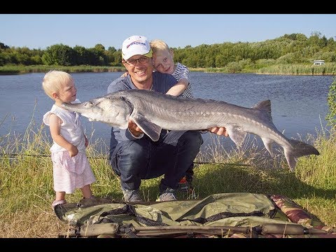 fiskeri put and take fiskeri put and take