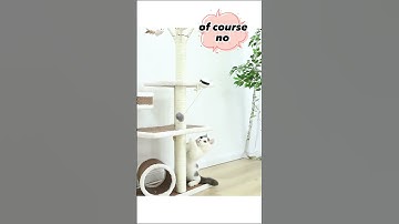 Funny Electric Cat Toy Lifting Ball Cats Teaser Toy Electric Flutter Rotating Cat