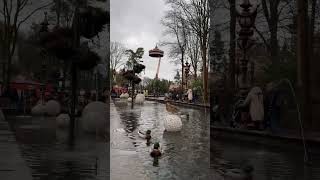 Queen duck holding her throne in #efteling #ducks #animals #themepark