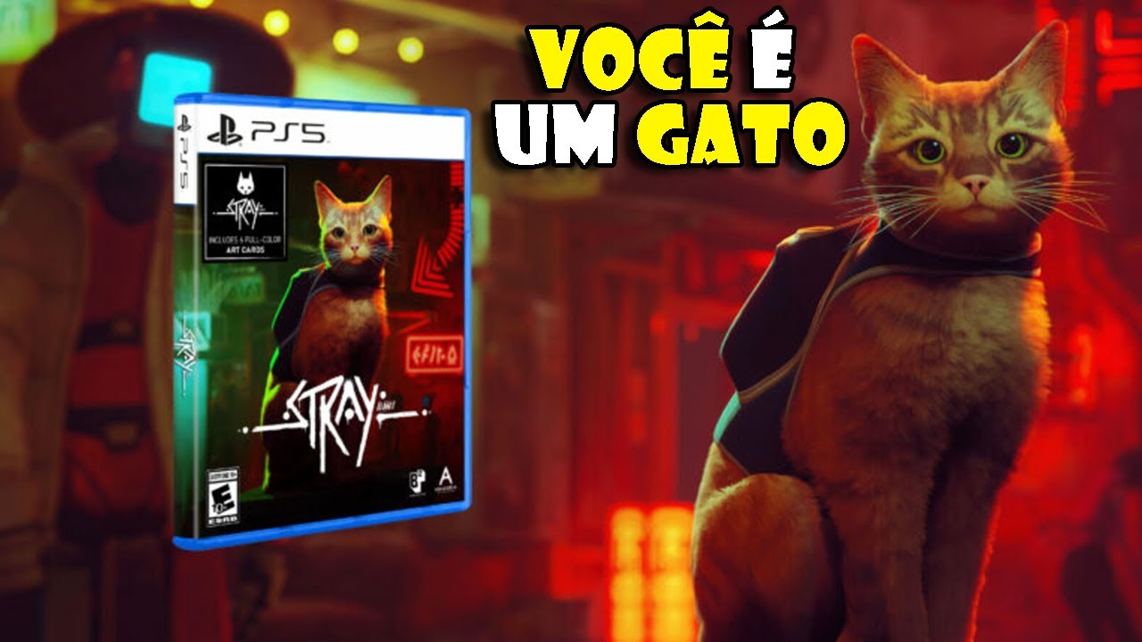 Stray: “o jogo do gato” já está entre nós