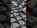 Mask order