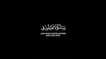 وما لكم لا تقاتلون في سبيل الله | كرومات ياسر الدوسري قرآن كريم شاشة سوداء #كرومات_قرآن