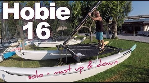 Single handed mast raising with the Mast Hinge