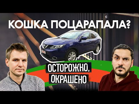 На крыше ШИШЕЧКИ, в салоне кошки. Эпичный Nissan Qashqai. СПЕЦВЫПУСК