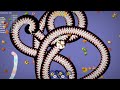 WormsZone.io Big +high Score biggest  Wrms kill Best Gameplay! #WormsZone.io#tog#wormszone