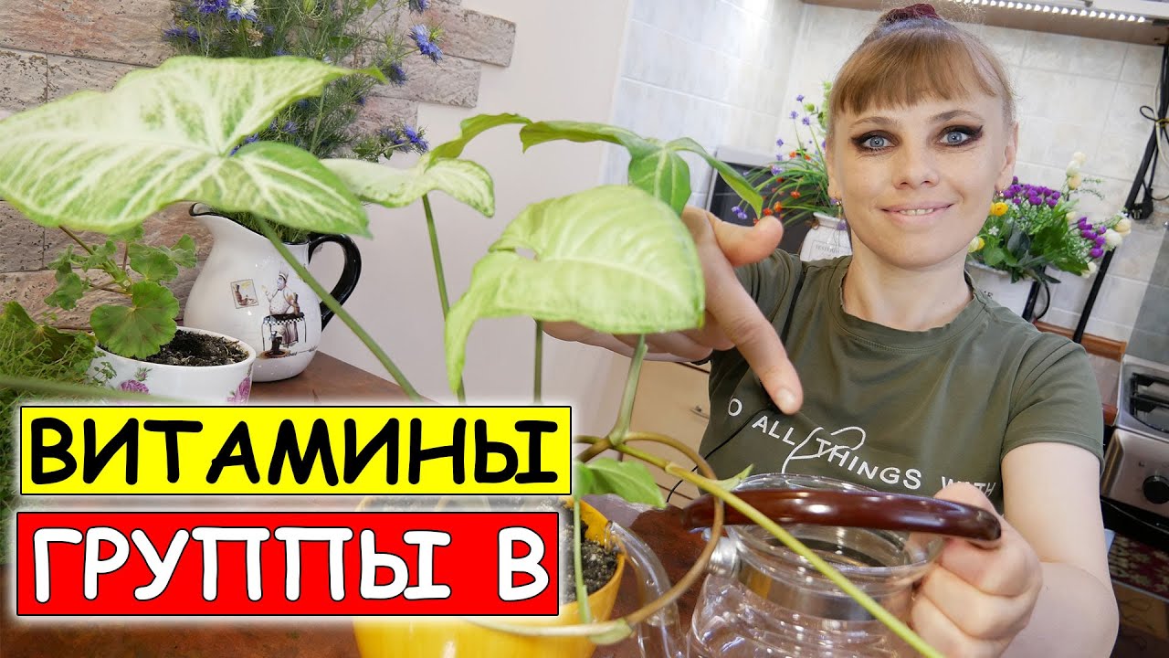 Прут в машине