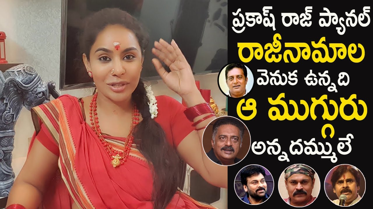 Actress Sri Reddy Controversial Comments on Mega Family Heroes about MAA Elections | Life Andhra Tv