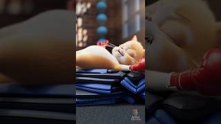 Cat Tries Boxing Cl Funny 3D English Cat Cartoon Videos