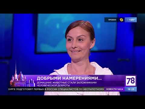 Программа "Вечер трудного дня". Эфир от 23.06.20