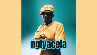 Shaunmusiq- ngik cela ft. Leemckrazy x Bassie (Official Audio)