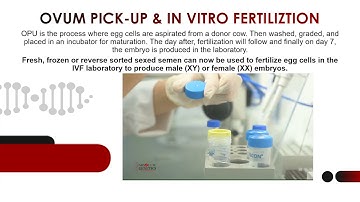 Absolute Genetics: Cattle Reproduction Centre