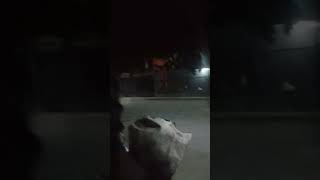 #una noche muy tranquila aquí en Ayotlan Jalisco México y explorando la calle donde vivimos#short