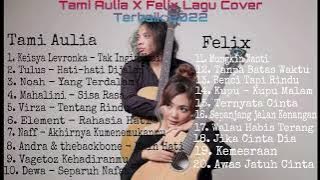 Tami Aulia & Felix Full album Cover Tanpa Iklan